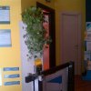 ShowRoom